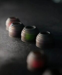 Audione HE Sonic ear tips buds plugs sleeves Song of the Long River